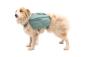 Preview: Ruffwear Front Range Day Pack River Rock Green Gr. S